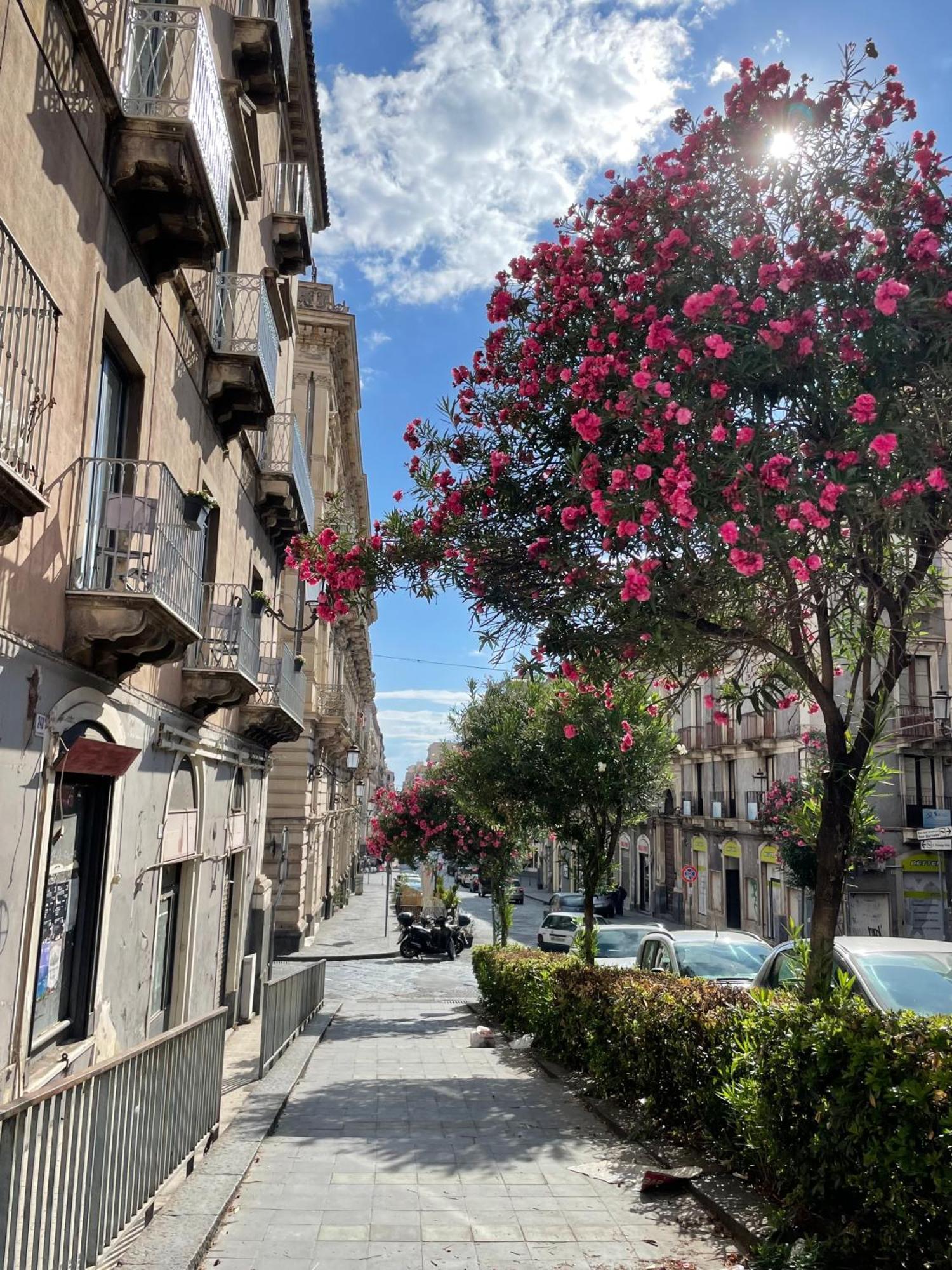 Opera Boutique Bed & Breakfast Catania Exterior photo