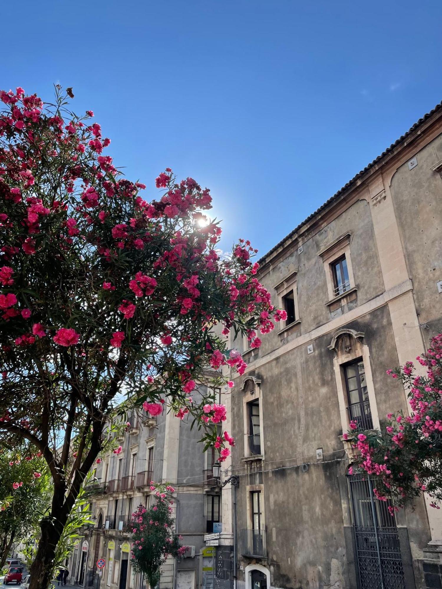 Opera Boutique Bed & Breakfast Catania Exterior photo